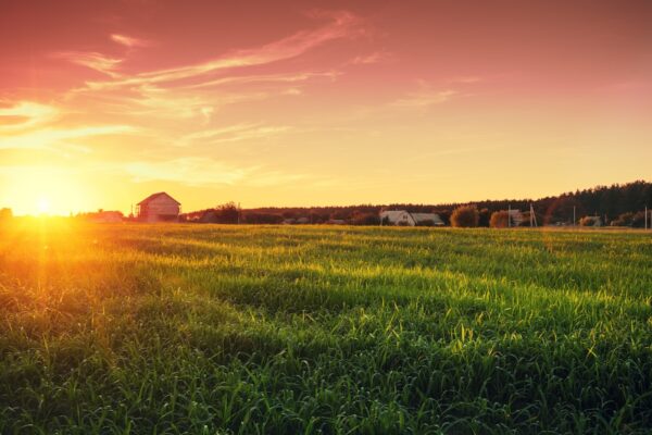 build on your land process